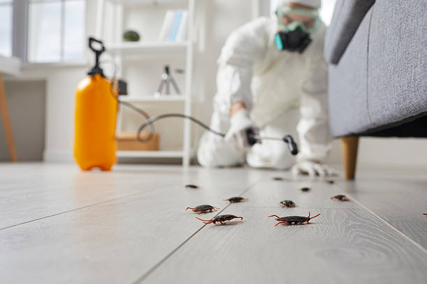 Commercial Kitchen Cockroach Control in Pennsburg
